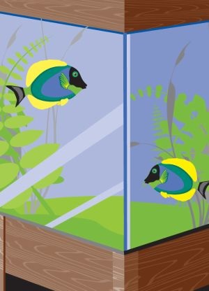 TKK Tekafix Aquarium használata.